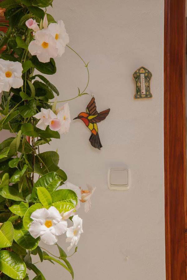 Casa Carmen Villa Haría Eksteriør bilde